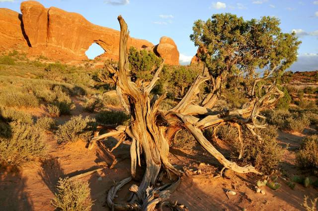 Arches National Park — 2