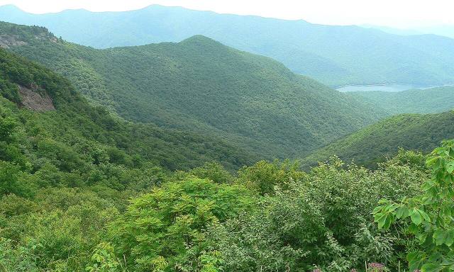 Blue Ridge Parkway — 4
